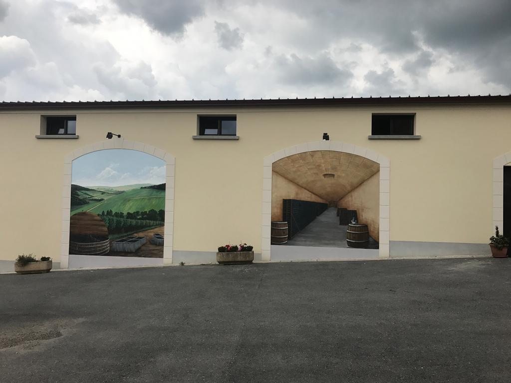 Chambres D'Hotes & Champagne Douard La Chapelle-Monthodon エクステリア 写真